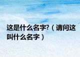 這是什么名字?（請問這叫什么名字）