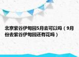 北京紫谷伊甸園5月去可以嗎（9月份去紫谷伊甸園還有花嗎）