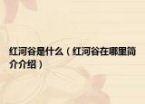 紅河谷是什么（紅河谷在哪里簡介介紹）