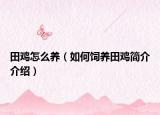 田雞怎么養(yǎng)（如何飼養(yǎng)田雞簡介介紹）