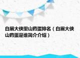 白眉大俠里山藥蛋排名（白眉大俠山藥蛋是誰簡介介紹）