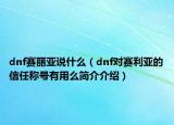 dnf賽麗亞說什么（dnf對賽利亞的信任稱號有用么簡介介紹）