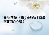 布馮,切赫,卡西（布馮與卡西誰厲害簡介介紹）