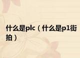 什么是plc（什么是p1街拍）