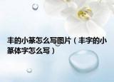 豐的小篆怎么寫圖片（豐字的小篆體字怎么寫）