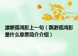 漂緲孤鴻影上一句（飄渺孤鴻影是什么意思簡介介紹）