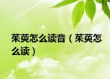 茱萸怎么讀音（茱萸怎么讀）