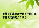 玉茄子的寓意是什么（玉茄子是干什么用的簡介介紹）