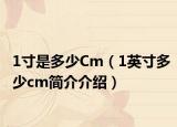1寸是多少Cm（1英寸多少cm簡(jiǎn)介介紹）