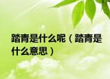 踏青是什么呢（踏青是什么意思）