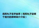 南煎丸子名字由來（南煎丸子是哪個地方的菜啊簡介介紹）
