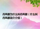 丹鳳眼為什么叫丹鳳眼（什么叫丹鳳眼簡介介紹）