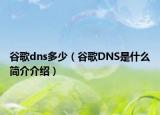 谷歌dns多少（谷歌DNS是什么簡介介紹）
