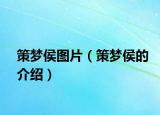 策夢侯圖片（策夢侯的介紹）
