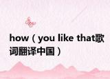how（you like that歌詞翻譯中國）