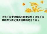 洛克王國少林呱呱在哪里訓練（洛克王國呱呱怎么進化成少林呱呱簡介介紹）