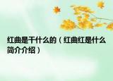 紅曲是干什么的（紅曲紅是什么簡介介紹）