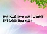 鉀碘化二硫是什么意思（二硫碘化鉀什么意思哦簡(jiǎn)介介紹）