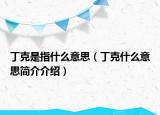 丁克是指什么意思（丁克什么意思簡介介紹）