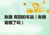 趙薇 離別的車站（趙薇離婚了嗎）
