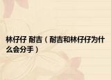 林仔仔 耐吉（耐吉和林仔仔為什么會分手）