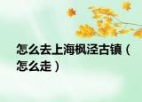 怎么去上海楓涇古鎮(zhèn)（怎么走）