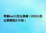 蘋果ios11怎么錄屏（iOS11怎么錄屏簡(jiǎn)介介紹）