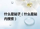 什么是站子（什么是站內(nèi)搜索）