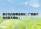 南寧市內(nèi)有哪些高校（廣西南寧市內(nèi)各大高校）