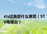 stv過高是什么意思（STV電視臺(tái)）