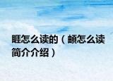 睚怎么讀的（頔怎么讀簡介介紹）