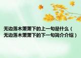 無(wú)邊落木蕭蕭下的上一句是什么（無(wú)邊落木蕭蕭下的下一句簡(jiǎn)介介紹）