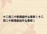 十二月二十歌詞是什么意思（十二月二十歌詞表達(dá)什么意思）
