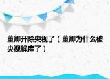 董卿開除央視了（董卿為什么被央視解雇了）