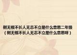 樹無根不長人無志不立是什么意思二年級（樹無根不長人無志不立是什么意思呀）