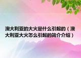澳大利亞的大火是什么引起的（澳大利亞大火怎么引起的簡介介紹）