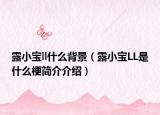 露小寶ll什么背景（露小寶LL是什么梗簡介介紹）