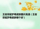 王者榮耀夢奇皮膚圖片高清（王者榮耀夢奇皮膚哪個好）