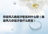 你是風(fēng)兒我是沙歌名叫什么歌（我是風(fēng)兒你是沙是什么歌名）