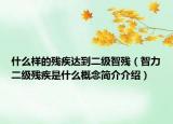 什么樣的殘疾達(dá)到二級(jí)智殘（智力二級(jí)殘疾是什么概念簡(jiǎn)介介紹）