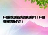 肺組織細胞是增殖細胞嗎（肺組織細胞增多癥）