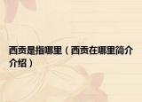 西貢是指哪里（西貢在哪里簡(jiǎn)介介紹）