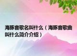 海豚音歌名叫什么（海豚音歌曲叫什么簡介介紹）