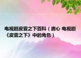 電視劇皮囊之下百科（唐心 電視劇《皮囊之下》中的角色）