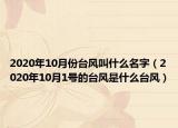 2020年10月份臺風叫什么名字（2020年10月1號的臺風是什么臺風）