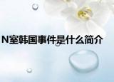 N室韓國事件是什么簡介