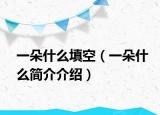 一朵什么填空（一朵什么簡介介紹）