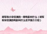 胡軍和小宋佳演的一部電影叫什么（胡軍和宋佳演的電影叫什么名字簡(jiǎn)介介紹）