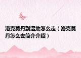 洛克莫丹到濕地怎么走（洛克莫丹怎么去簡介介紹）