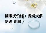 蝴蝶犬價格（蝴蝶犬多少錢 蝴蝶）